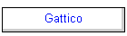 Gattico