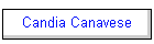 Candia Canavese
