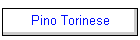 Pino Torinese