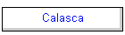 Calasca