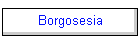 Borgosesia