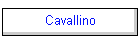 Cavallino