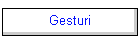 Gesturi