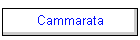 Cammarata