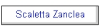 Scaletta Zanclea