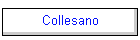 Collesano