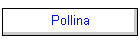 Pollina