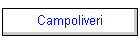 Campoliveri