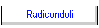 Radicondoli