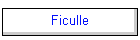Ficulle