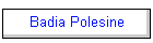 Badia Polesine