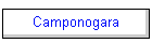 Camponogara