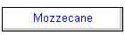 Mozzecane