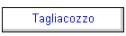 Tagliacozzo