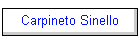 Carpineto Sinello