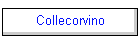 Collecorvino