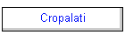 Cropalati
