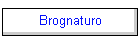Brognaturo