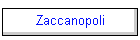 Zaccanopoli