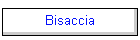 Bisaccia
