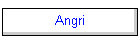 Angri
