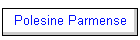 Polesine Parmense