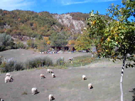 vt8