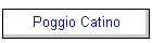 Poggio Catino