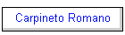 Carpineto Romano