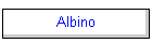 Albino