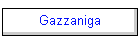 Gazzaniga