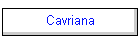 Cavriana