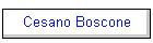 Cesano Boscone