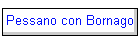 Pessano con Bornago