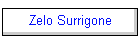 Zelo Surrigone