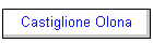 Castiglione Olona