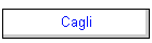 Cagli