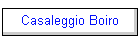 Casaleggio Boiro