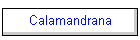 Calamandrana