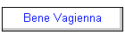 Bene Vagienna