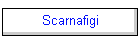 Scarnafigi