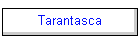 Tarantasca