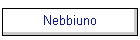Nebbiuno