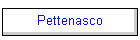 Pettenasco