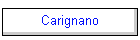 Carignano