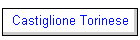 Castiglione Torinese