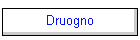 Druogno