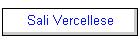 Sali Vercellese