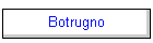 Botrugno