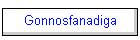 Gonnosfanadiga